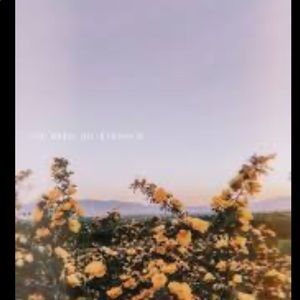 Meet your Posher, Ella